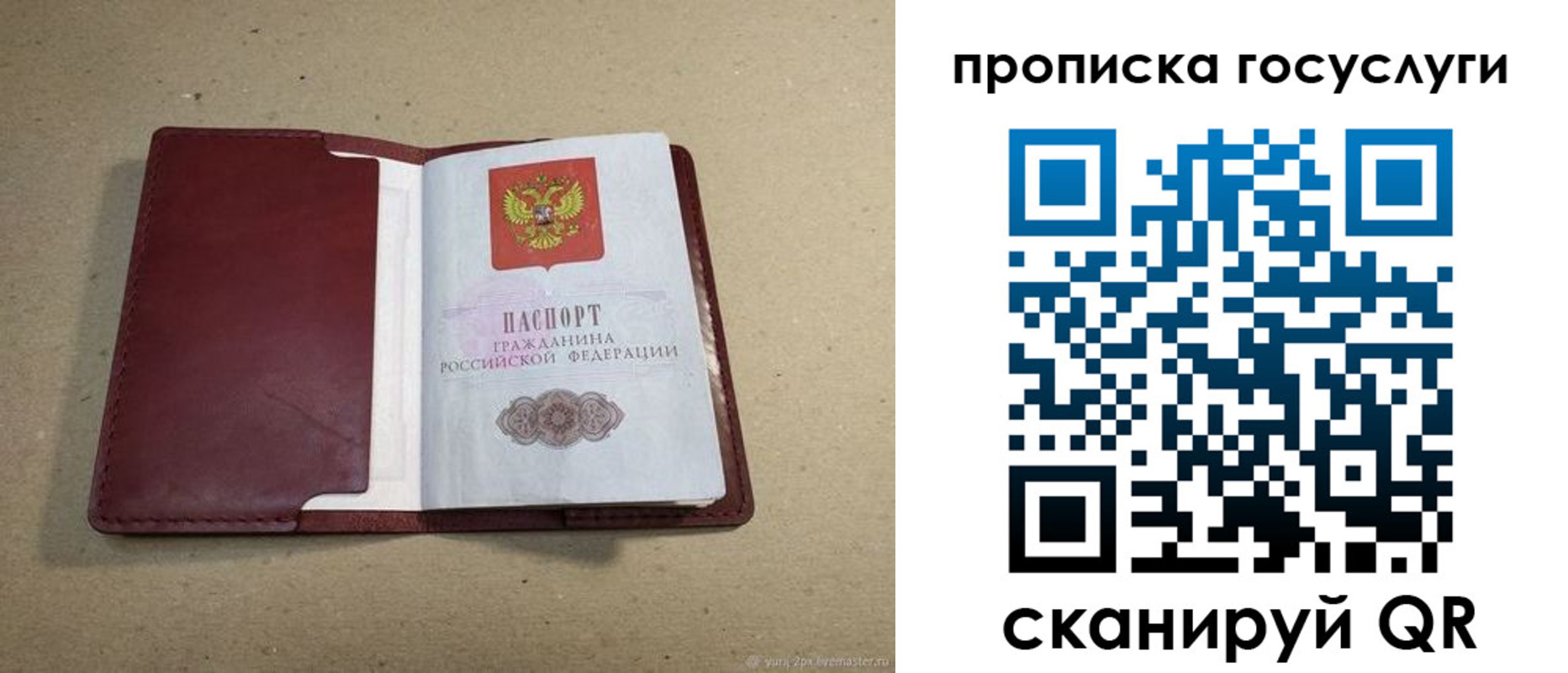 прописка поиск в Барыше